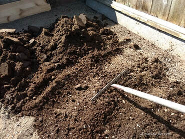 how to prepare soil for planting