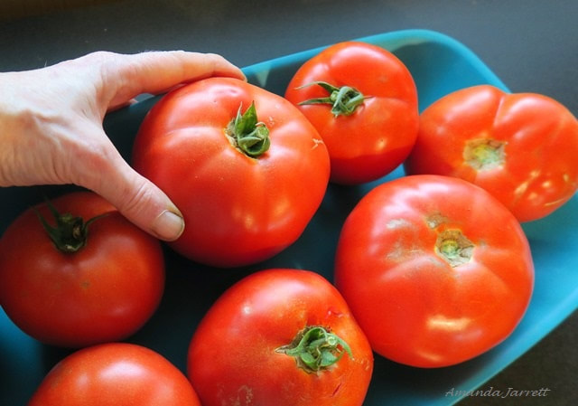 How to grow tomatoes 